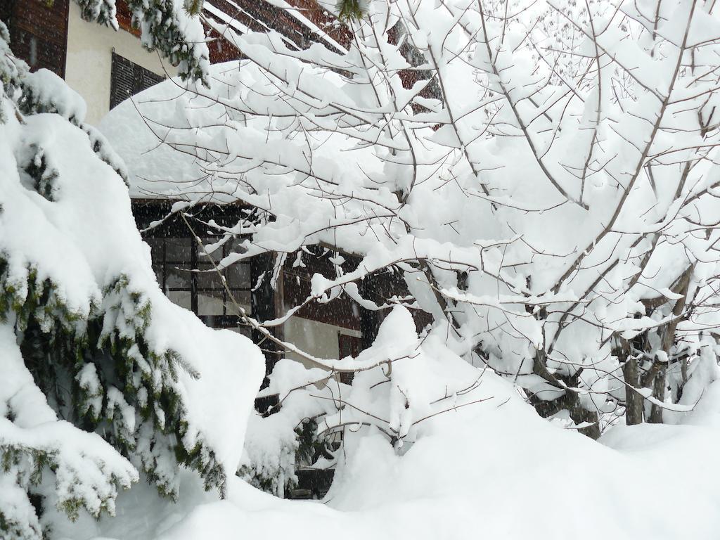 Residence Felik Gressoney-la-Trinité Zewnętrze zdjęcie